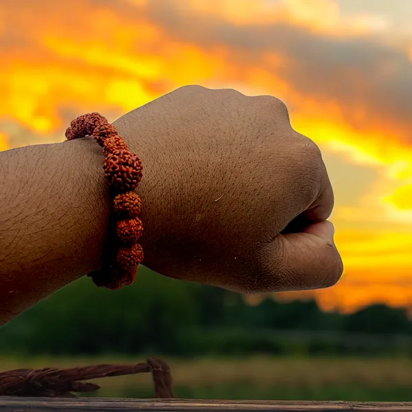 Panch_Mukhi_Rudraksha_Bracelet,_Unisex,_Adjustable_(RD.V2)