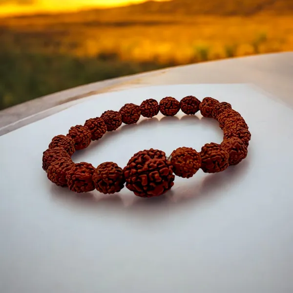Panch_Mukhi_Rudraksha_Bracelet,_Unisex,_Adjustable_(RD.V2)