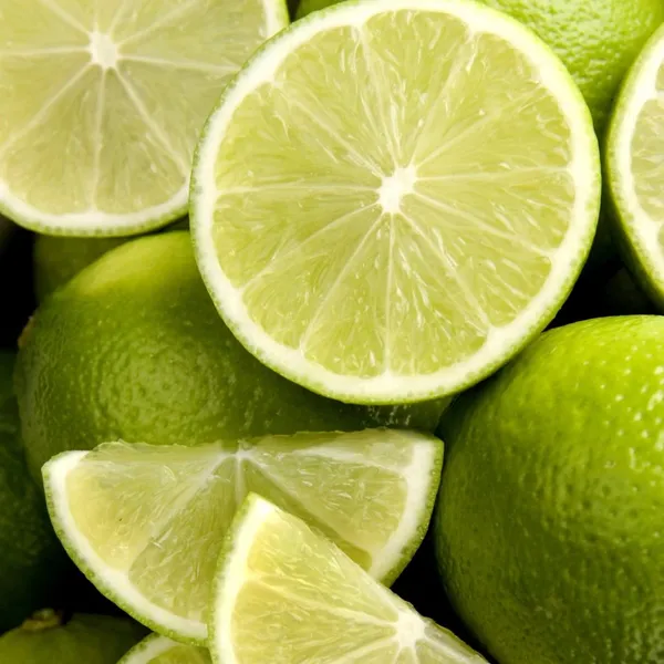 Alltime_Super_Juicy_Patti_Lemon__Fruit_Plant_&_Tree_For_Your_Home_Garden_(1.5-3.5_Ft_Height)_Pack_Of_1