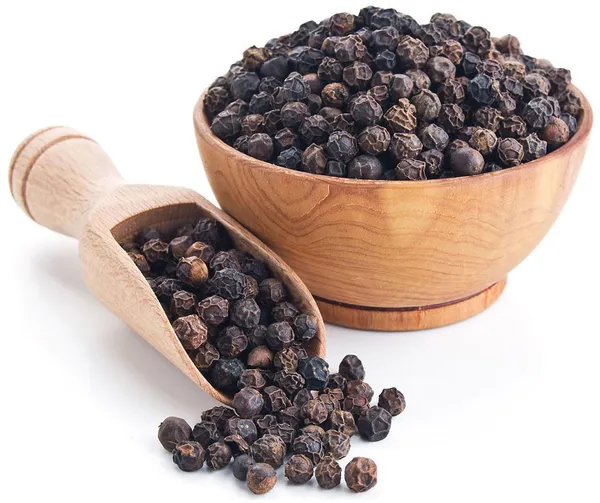Black_Paper_Highly_Benefited_Spices_Plant_For_Shrub/Vine/Home_Gardening_(Hybrid,_Pack_Of_1)