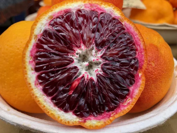 Blood_Orange_Healthy_&_Refreshing_Orange_Fruit_Plant_&_Tree_(1.5-3.5_Ft_Hight)_For_Home_Garden_Well_Watered_Blood_Orange_Grafted__Fruit_Plant_(Hybrid,_Pack_Of_1)
