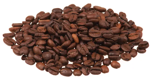 Brazilian_Hybrid_Coffee_Beans_Plant_&_Tree_(1.5-3.5_Ft_Height)_For_Garden,_Well_Watered_Coffee_Fruit_Plant_(Pack_Of_1)