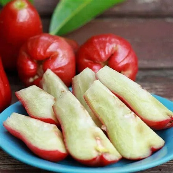 Delicious_Red_Java_Apple/Jambul_Ready_To_Fruit_Plant_&_Tree_For_Garden,_Pack_Of_1