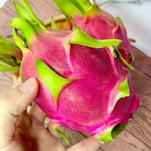 Delicious_&_Healthy_Dragon_Fruit_Plant_&_Tree_(1.5-3.5_Ft_Height)_For_Gardening,_Pack_Of_1