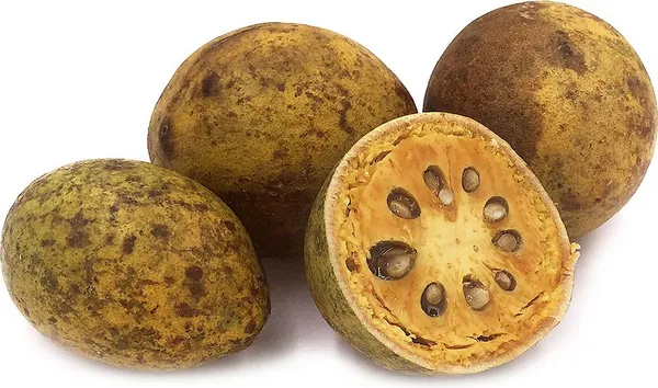 Evergreen__Bilva_Fruit/Beal_/Bel_Patra_Tree_for_Home_and_Garden,_Sacred_Religious_Shiva_Puja_Plant_(Pack_Of_1)