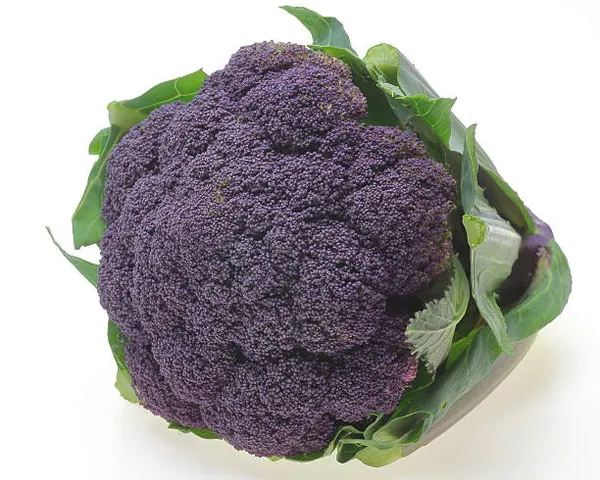 Greenery_Nursery®_Expensive_Purple_Broccoli_Seeds_(20-40_Pieces)_For_Home_Gardening,_Pack_of_1