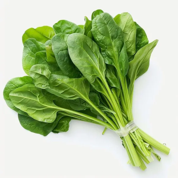 Greenery_Nursery®_Highly_Benefited_Spinach_Seeds_(20-40_Pieces)_For_Home_Garden,_Pack_Of_1