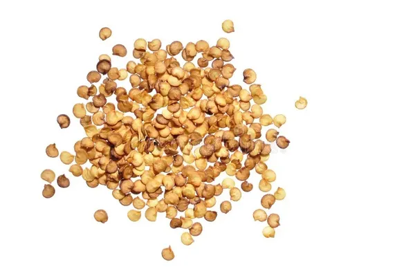Greenery_Nursery®_Hybrid_Chili_Seeds_(20-40_Pieces)_For_Home_Garden,_Pack_Of_1