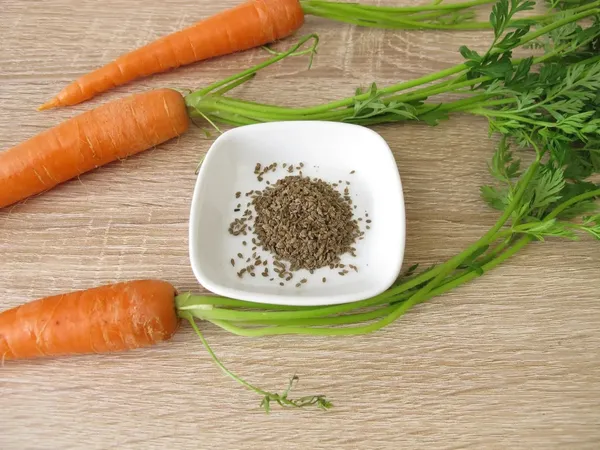 Greenery_Nursery®_Original_Carrot_Seeds_(20-40_Pieces)_For_Easy_Home_Gardening,_Pack_of_1