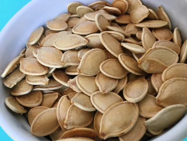 Greenery_Nursery®_Pumpkin_Seeds_(0-30_Pices)_For_Home_Garden,_Pack_Of_1