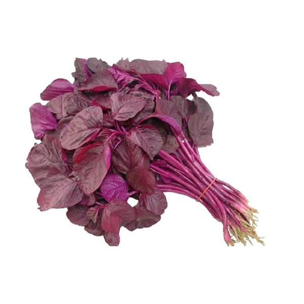 Greenery_Nursery®_Red_Spinach/Lal_Shak_Seeds_(20-40_Pieces)_For_Home_Garden,_Pack_Of_1