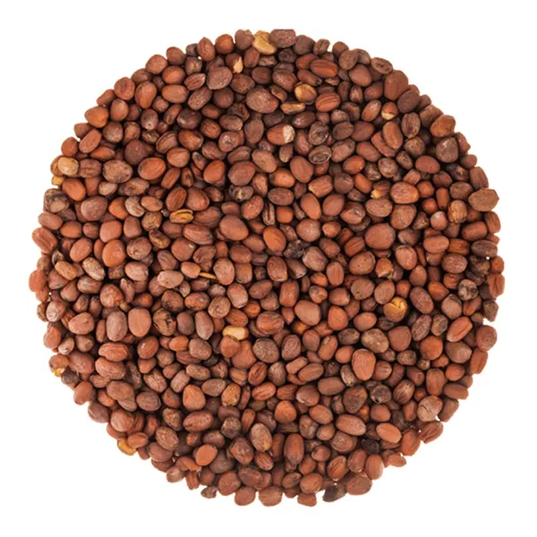 Greenery_Nursery®_Round_Shape_Pink_Radish_Seeds_(20-40_Pieces)_For_Home_Garden,_Pack_Of_1