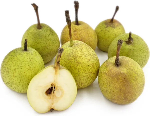 Punjab_Nakh_pear_/Naspati__Plant_&_Tree_For_Home_Garden_(1.5-3.5_Ft_Height)_Pack_Of_1