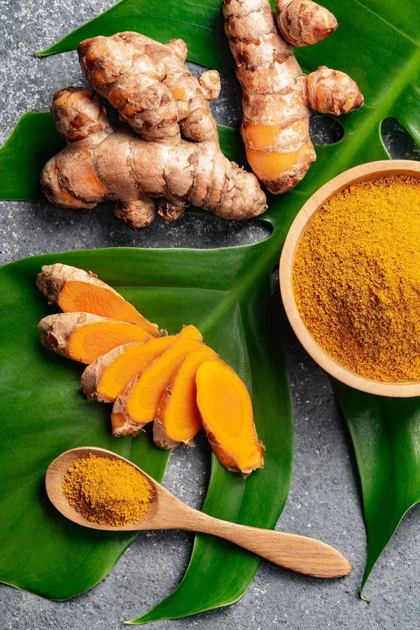 Raw_Turmeric_(Haldi)_Plant_with_Fresh_Rhizomes_-_Premium_Kacchi_Haldi_Roots_for_Growing_in_Home_Garden_&_Pots_(Pack_Of_1)