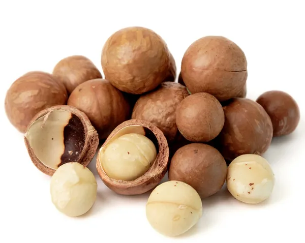 The_Queen_Of_Nut__Macadamia__Fruit_Plant_&_Tree_(1.5-3.5_Ft_Height)_For_Home_Garden,_Pack_Of_1