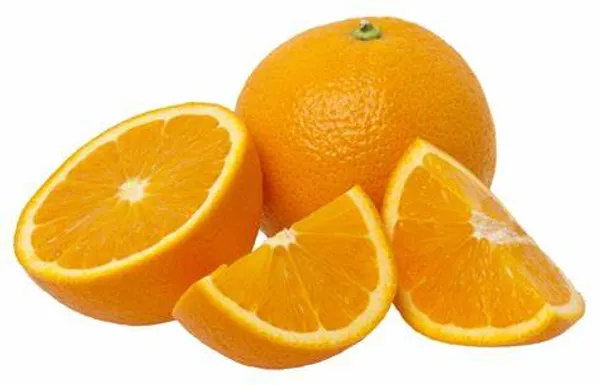 Washington_Navel_Orange_Hybrid_Fruit_Plant_&_Tree_For_Home_Garden_(Plant_Hight_1.5-3.5_Ft_Hight)_Well_Watered_Navel_Orange_Healthy_Fruit_Plant_(Pack_Of_1)