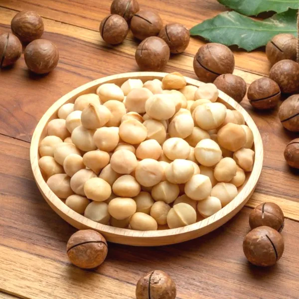 The_Queen_Of_Nut__Macadamia__Fruit_Plant_&_Tree_(1.5-3.5_Ft_Height)_For_Home_Garden,_Pack_Of_1