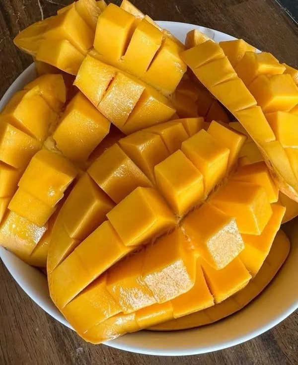 Baromasi_/_Alltime_Mango_Fruit_Plant_&_Tree_For_Home_Garden_(Hybrid,_Pack_Of_1_)