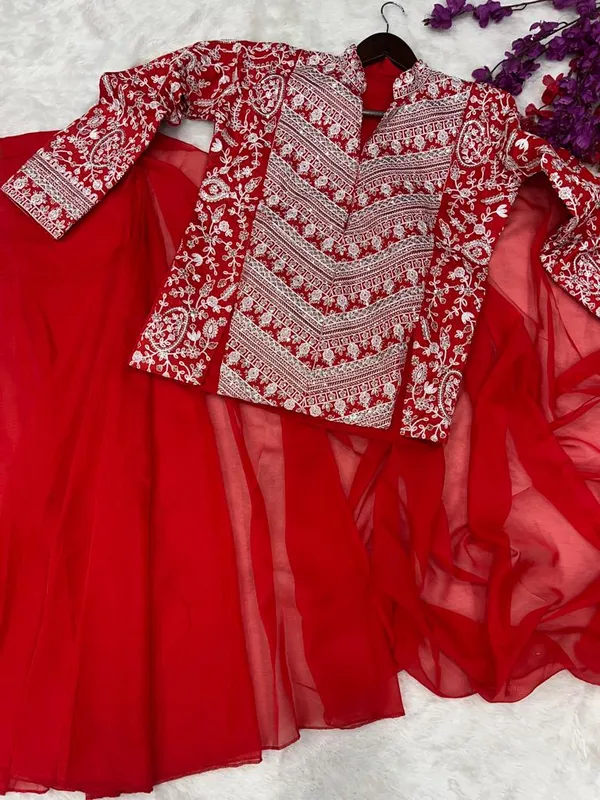 Red__Colour_Embroidery_Work_Ready_To_Wear_Saree_With_Blouse