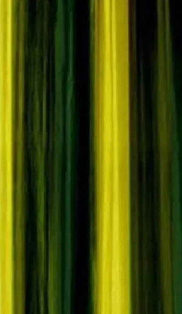 Pack_Of_4,_Green,_Striped__213_cm_7_ft_Polyester_Room_Darkening_Door_Curtain