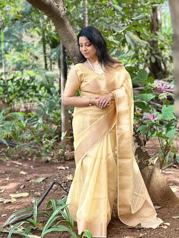Soft_Tissue_Silk_sarees_with_Beautiful_Weaving_With_Attractive_Border_&_Rich_Pallu_With_Sequence_And_Running_Blouse_With_Tassels