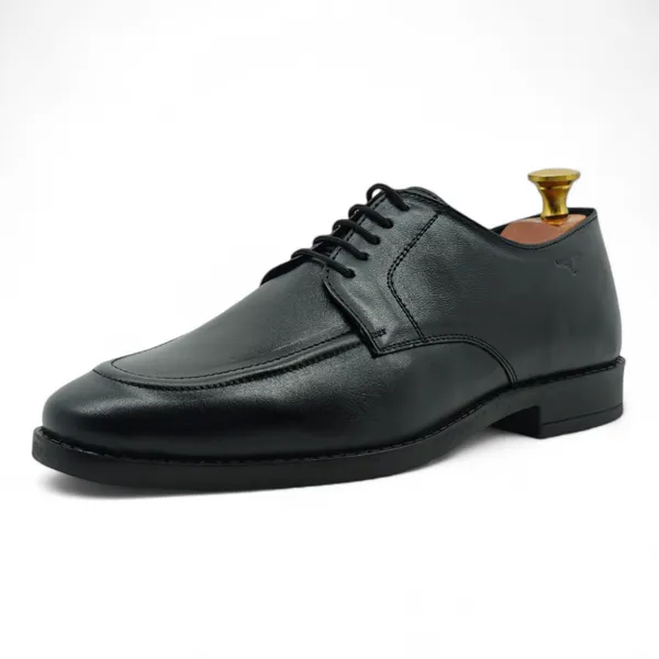 Freacksters_Men's_Black_Leather_Lace-Up_Party_Wear_Formal_Shoes