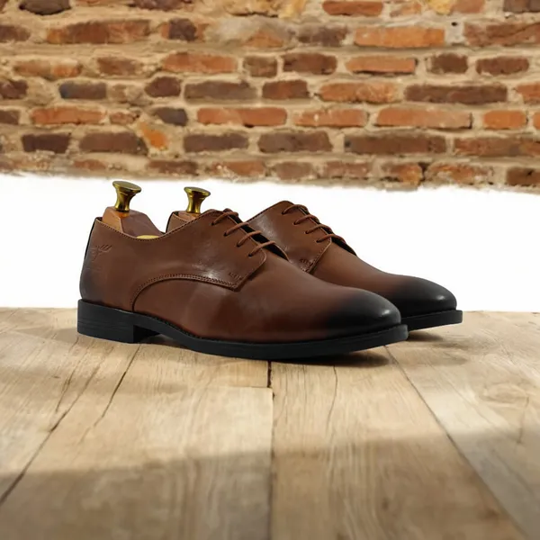 Freacksters_Men's_Tan_Genuine_Leather_Formal_Derby_Shoes
