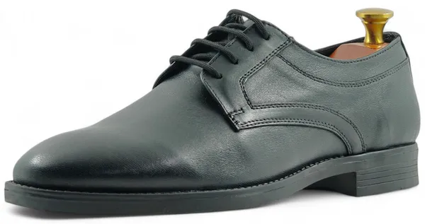 Freacksters_Men's_Black_Genuine_Leather_Formal_Lace-Up_Derby_Shoes