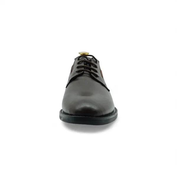 Freacksters_Brown_Genuine_Leather_Derby_Shoes_-_Classic_Sophistication_&_Comfort
