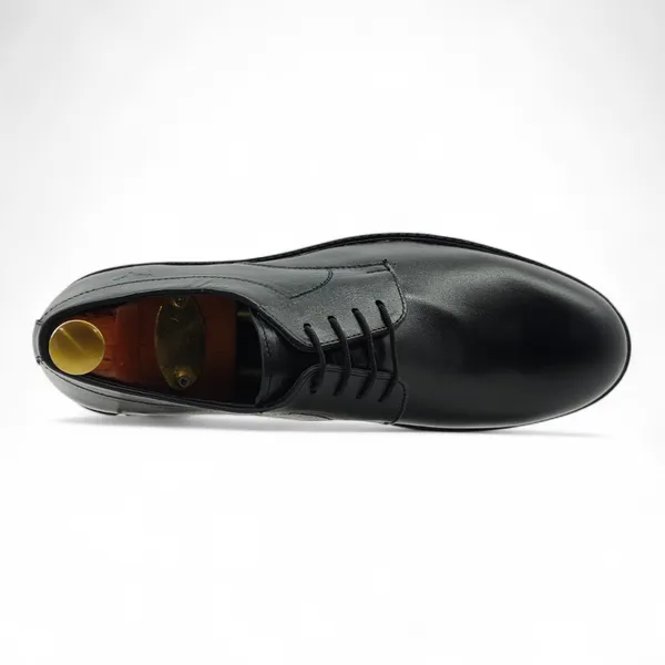 Freacksters_Men's_Black_Genuine_Leather_Lace-Up_Formal_Shoes