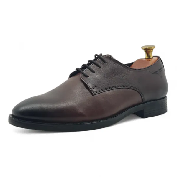 Freacksters_Men's_Brown_Genuine_Leather_Formal_Lace-Up_Shoes