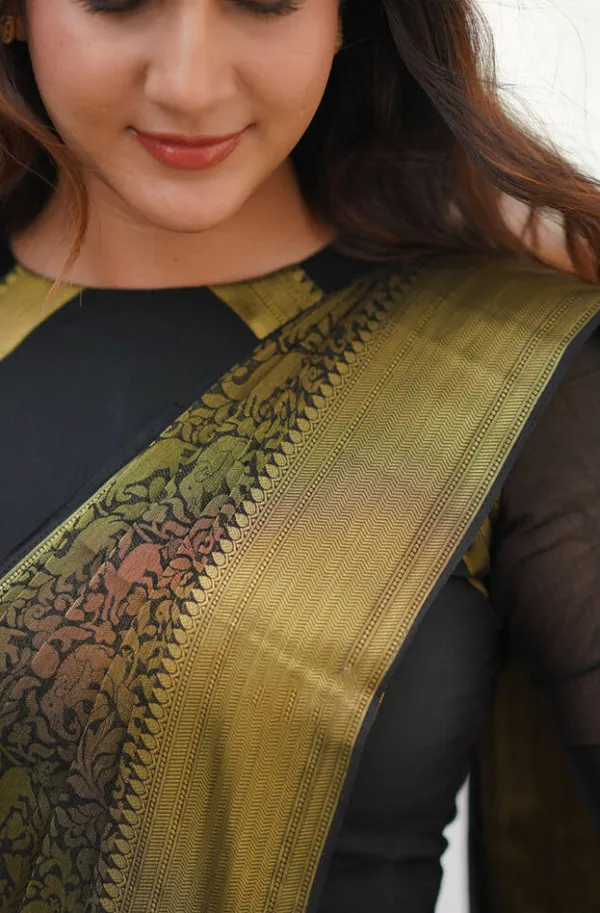 Desultory_Black_Soft_Banarasi_Silk_Saree_With_Whimsical_Blouse_Piece