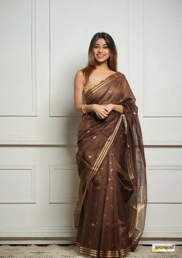 Embellished_Cotton_Silk_Saree_With_Felicitous_Blouse_Piece