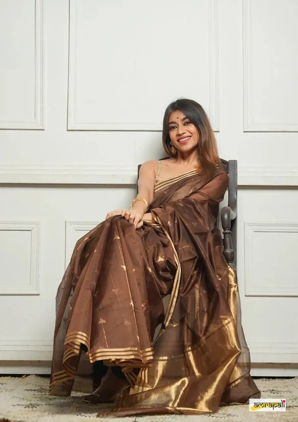 Embellished_Cotton_Silk_Saree_With_Felicitous_Blouse_Piece