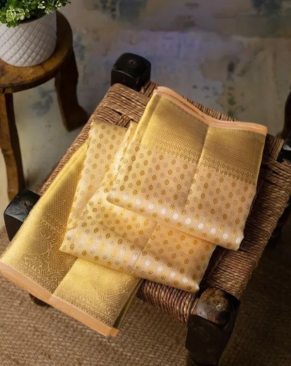 Propinquity_Beige_Soft_Silk_Saree_With_Confounding_Blouse_Piece