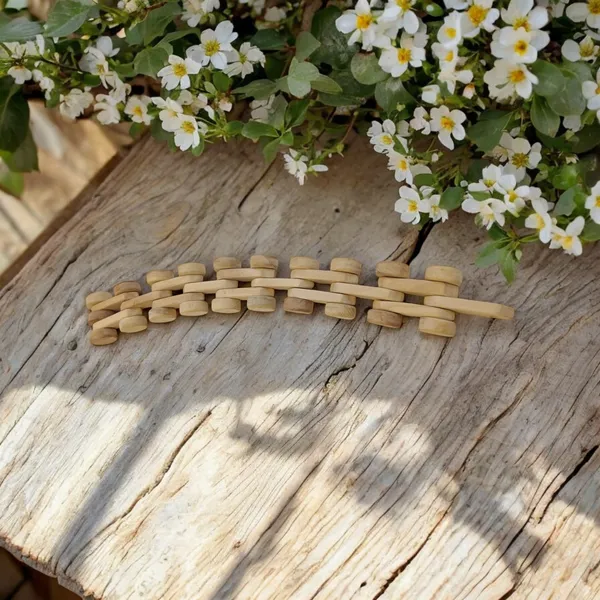 Neem_Wooden_Chain_Car_for_Toddlers_-_Memorable_Gift_for_Toddlers