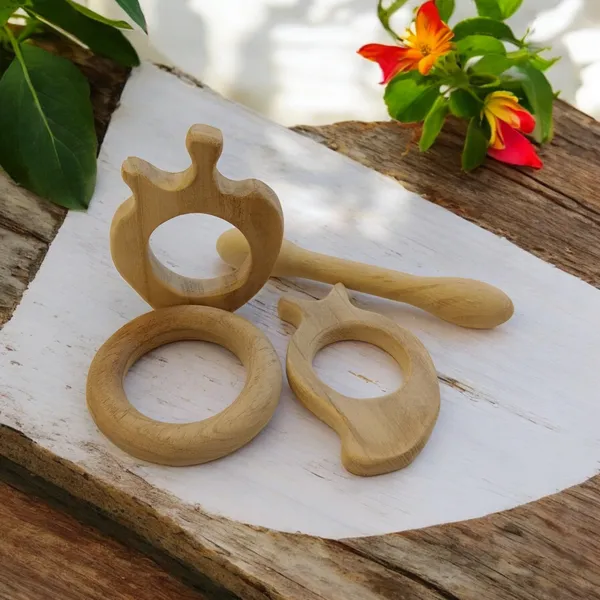 Baby_Neem_Wooden_Teethers_-_Apple,_Mango,_Dumbbell_&_Ring