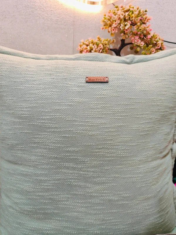 Throw_Chushion-Decorative_cushions_for_sofas_and_beds