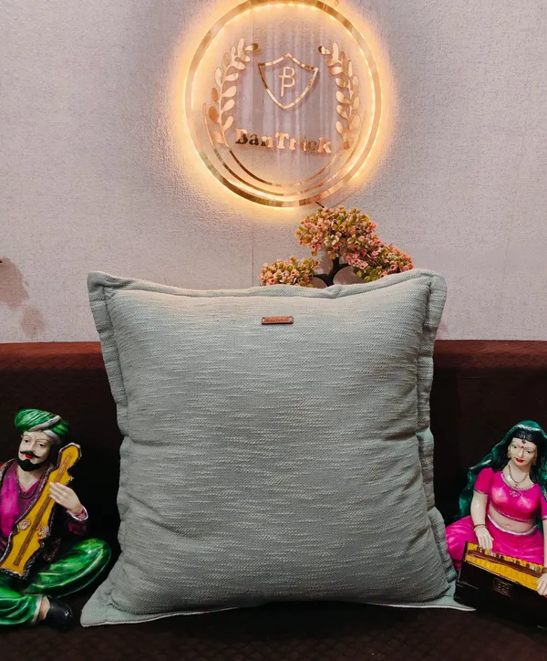 Throw_Chushion-Decorative_cushions_for_sofas_and_beds