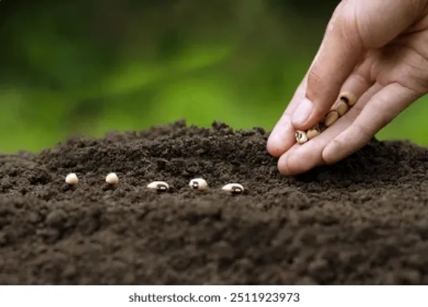 Long_Bottle_Gourd/Lauki_Fast-Growing_Seeds_-_200_gms_For_Home_Garden_(Pack_Of_1)
