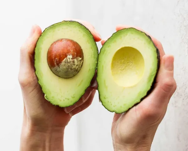 Avocado_Highly_Benefited_Fruit_Plant_&_Tree_For_Garden,_Well_Watered_Avocado_Live_Plant_(Hybrid,_Pack_Of_1)