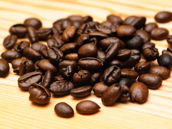 Coffee_Beans_Live_Fruit_Plant_&_Tree_(1.5-3.5_Ft_Height)_For_Home_Gardening,_Pack_Of_1