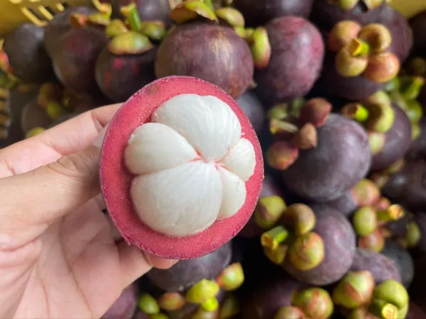 Delicious_Mangosteen_Rare_Fruit_Plant_&_Tree_For_Home_Garden_(1.5-3.5_Ft_Height)_Pack_Of_1