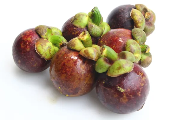 Delicious_Mangosteen_Rare_Fruit_Plant_&_Tree_For_Home_Garden_(1.5-3.5_Ft_Height)_Pack_Of_1
