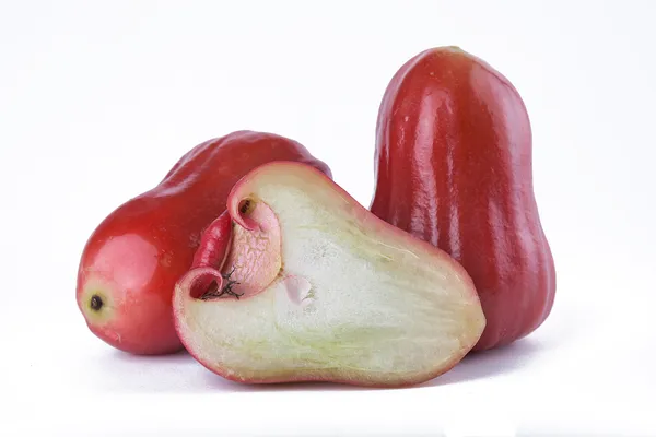 Delicious_Red_Wax_Apple/Jambul/Water_Apple_Live_Fruit_Plant_&_Tree_For_Home_Garden_(1.5-3.5_Ft_Height)_Pack_Of_1