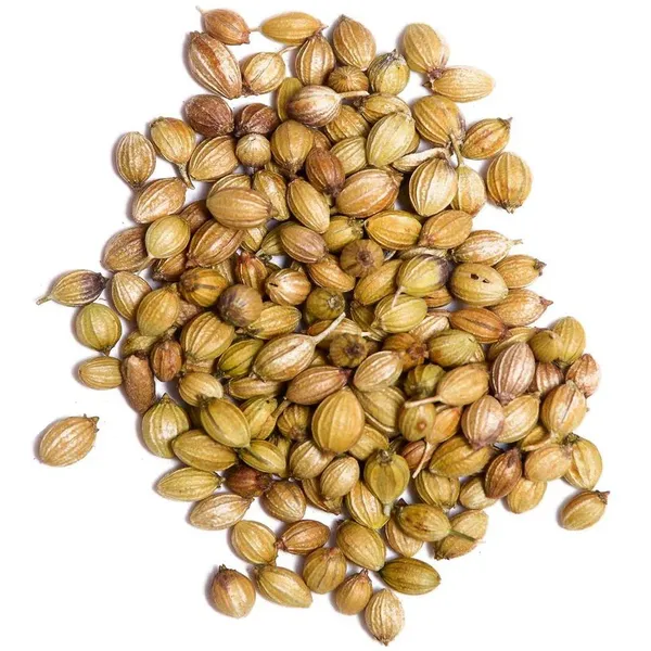 Easy_To_Grow_Coriander/Dhaniya_Seeds_-_200_gms_(Pack_Of_1)_For_Your_Home_Garden
