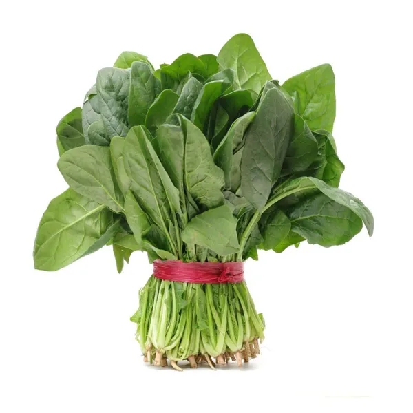 Easy_To_Grow_Spinach/Palak_Healthy_Vegetable_Seeds_-_200_gms_For_Home_Garden,_Pack_Of_1