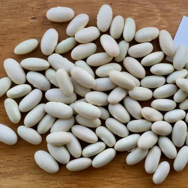 French_Beans_Hybrid_Seeds_-_200_gms_For_Your_Home_Garden_(Pack_Of_1)_Green_Beans_Seed_Germination_Time_3–7_Days
