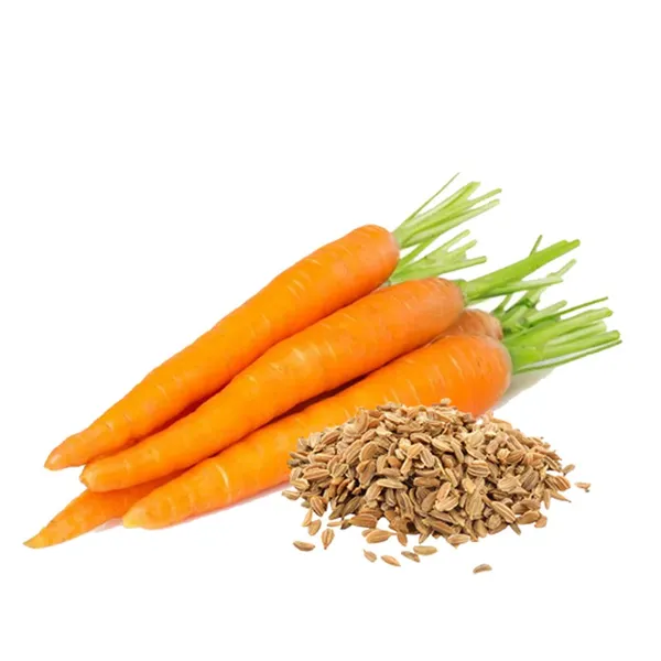 Highly_Benefited_Carrot_Seeds_-_200_gms_For_Your_Home_Garden,_Pack_Of_1