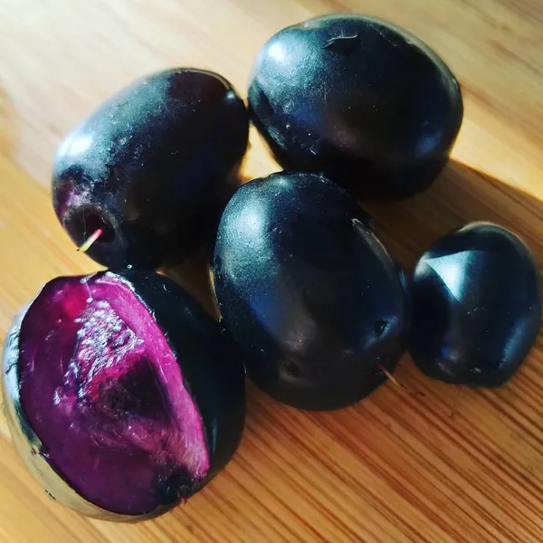 Hybrid_Malabar_Plum/Black_Jamun_Live_Fruit_Plant_&_Tree_(1.5-3.5_Ft_Height)_Java_Plam_Good_For_Health,_Pack_Of_1